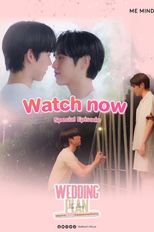 Wedding Plan Special Episode