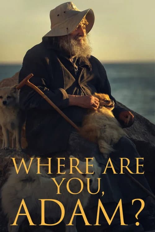 Where Are You, Adam?