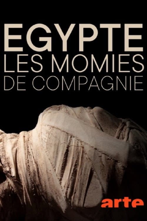 The Mysterious Mummified Dogs of Ancient Egypt