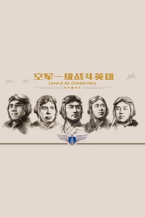 空军一级战斗英雄