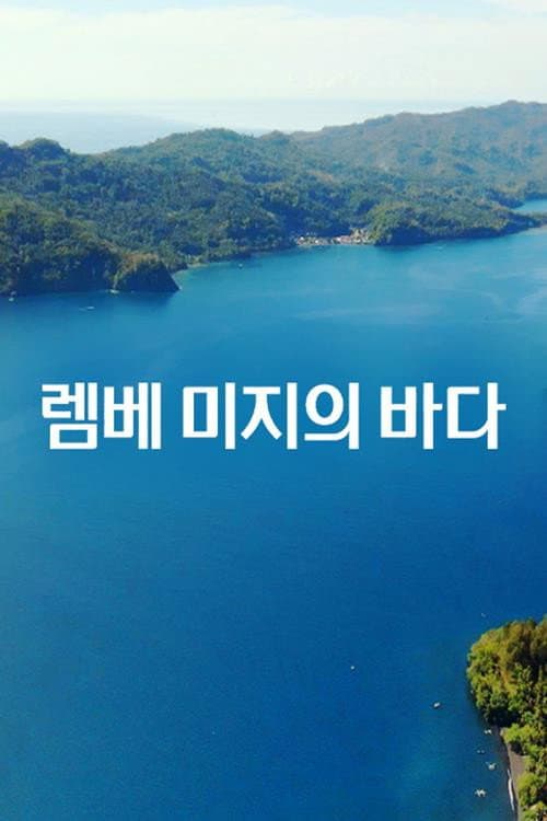 ๋ ๋ฒ ๋ฏธ์ง์ ๋ฐ๋ค