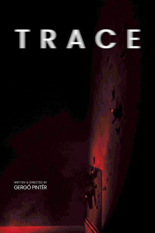Trace