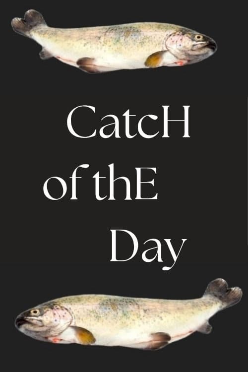 Catch of the Day