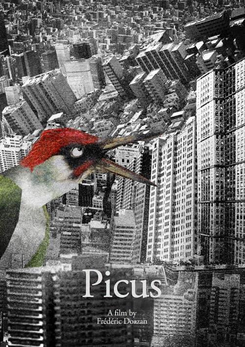 Picus