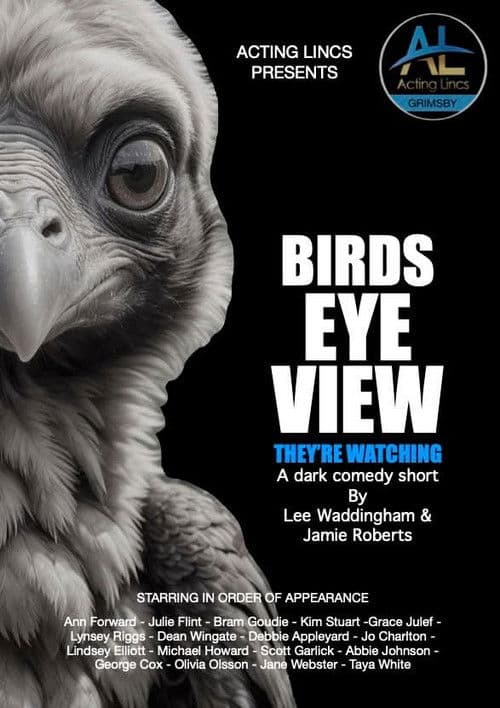 Birds Eye View