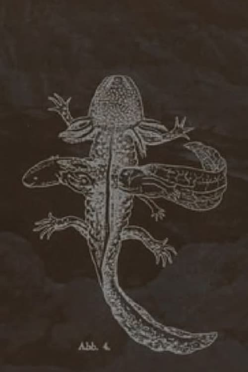 The Axolotl Stories-encounter