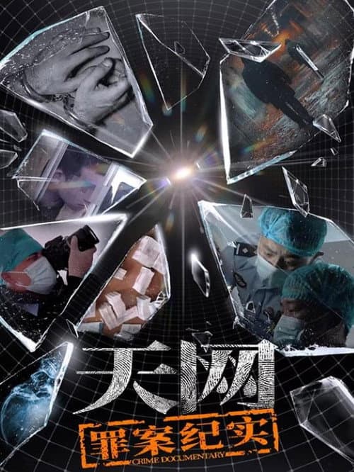 天网：罪案纪实