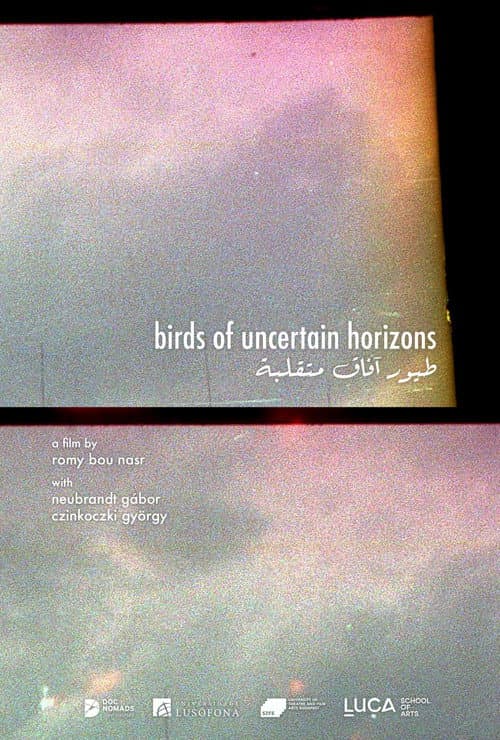 Birds of uncertain horizons