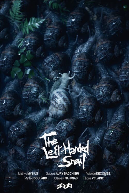 The Left-Handed Snail