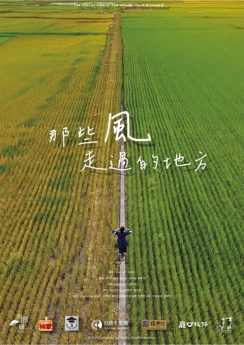 那些風走過的地方