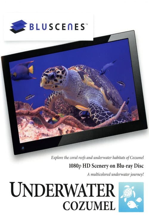 BluScenes: Underwater Cozumel