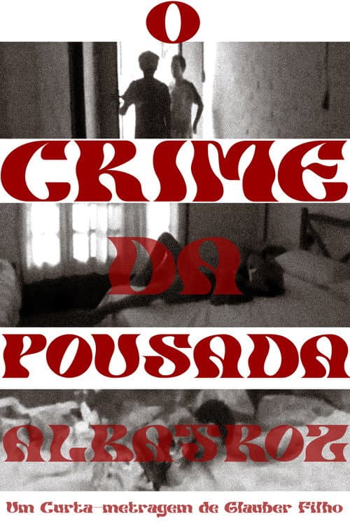 O crime da pousada Albatroz