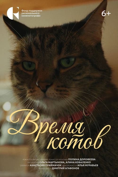 The Time of Cats