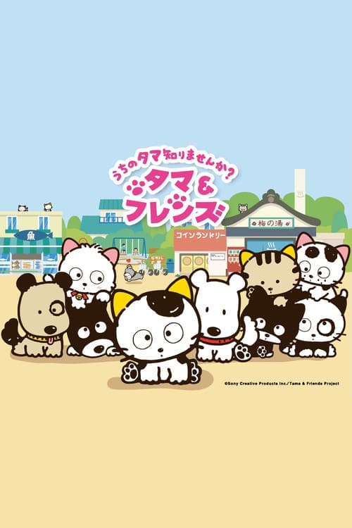 Tama and Friends: Have You Seen My Tama?
