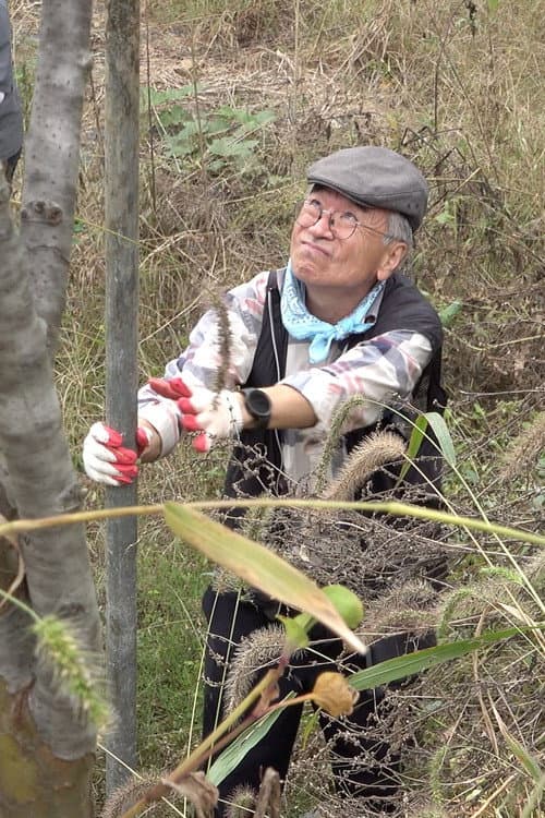 ​​A Pastor in a Cannabis Field