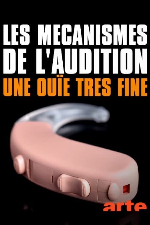 Les mécanismes de l'audition, une ouïe très fine
