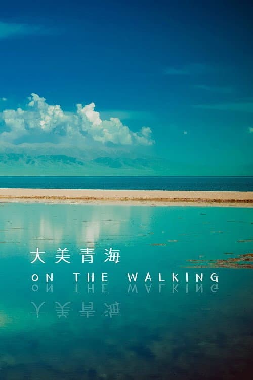 大美青海