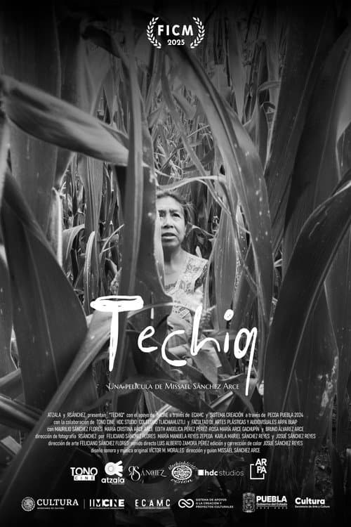 Techiq