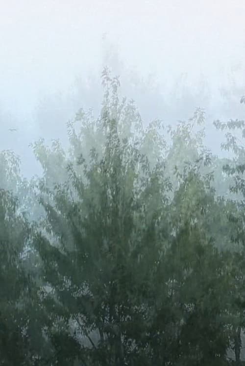 Wind