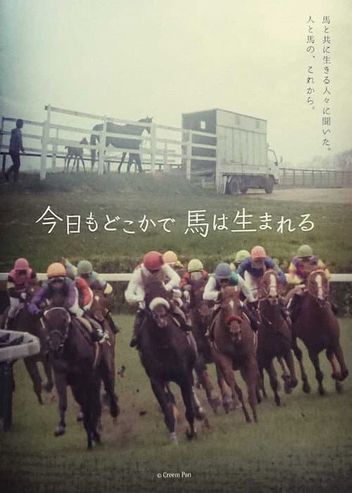 今日もどこかで馬は生まれる