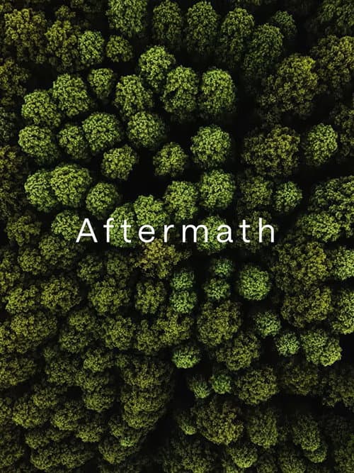 Aftermath