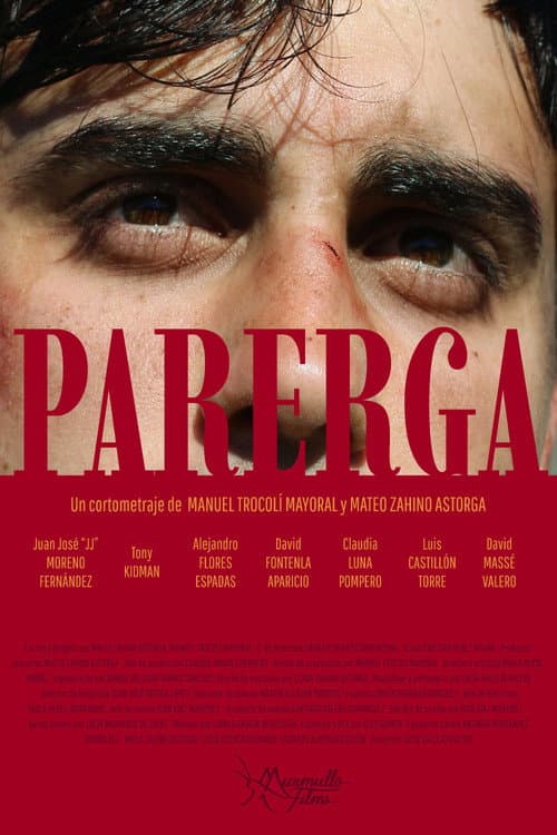 Parerga