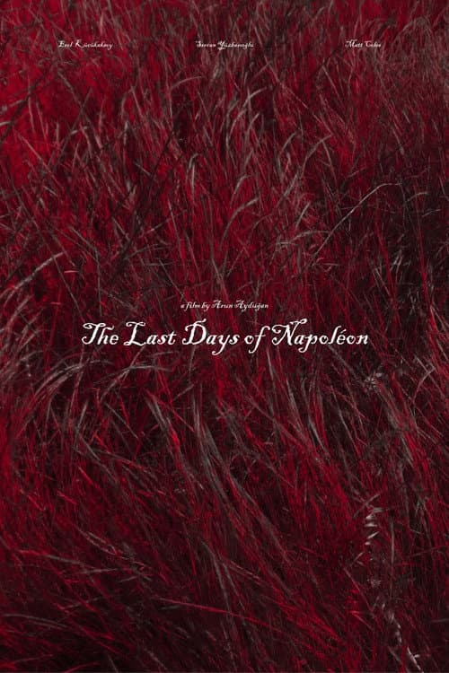 The Last Days of Napoléon