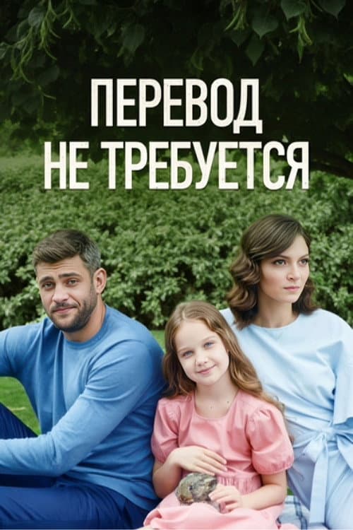 No Translation Needed