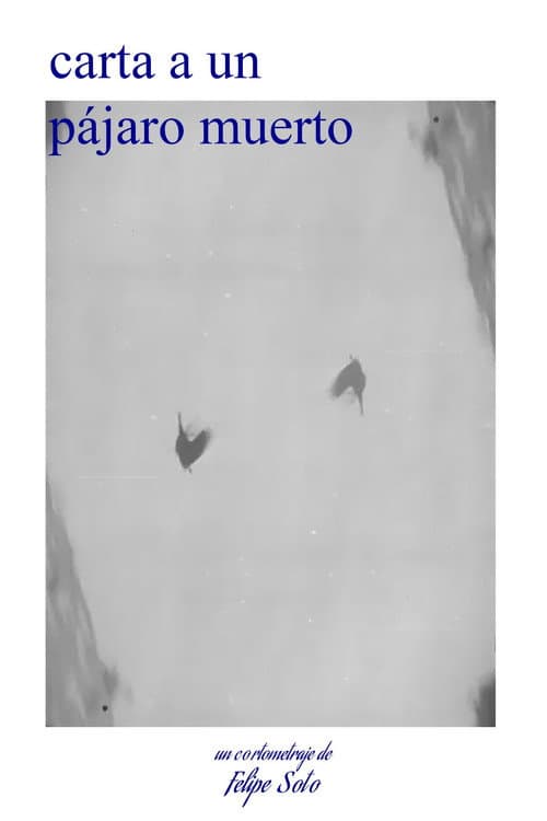 letter to a dead bird