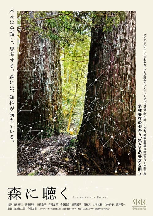 森に聴く Listen to the Forest