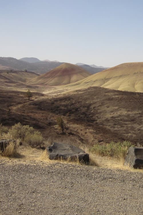 Layers of Life: Stories of Ancient Oregon