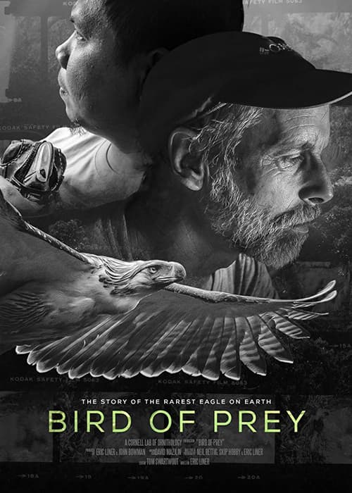 Bird of Prey