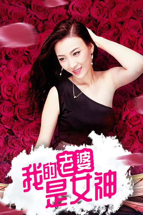 我的老婆是女神