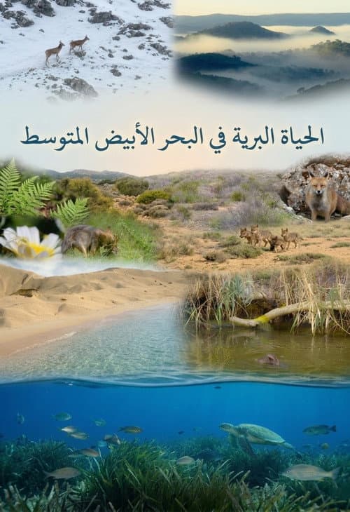 Wild Mediterranean