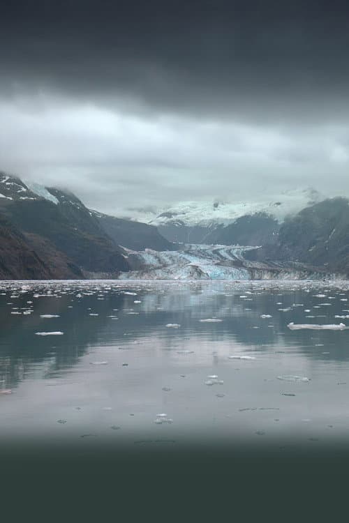 Alaskan Shorts