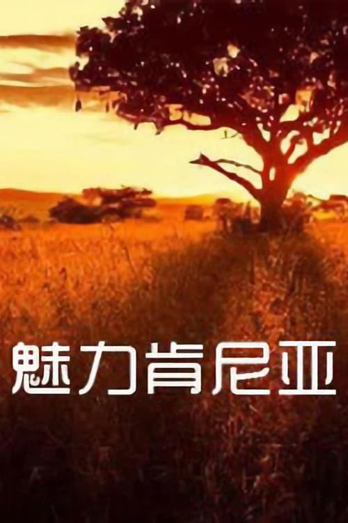 魅力肯尼亚