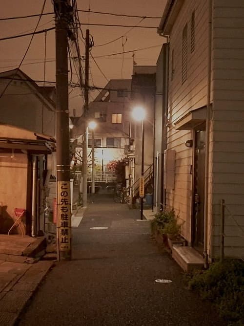 The Void of the Night