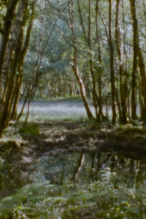 Landscape as Landscape - 29