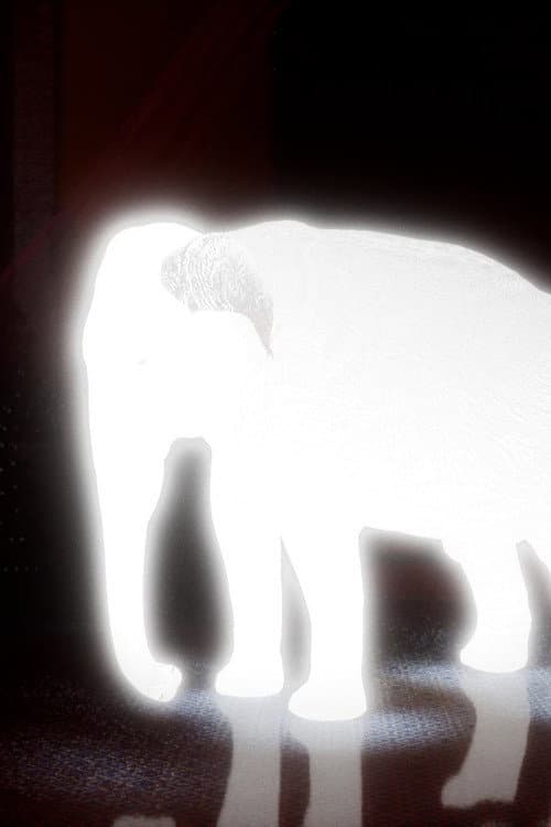King of Cyborg Elephant