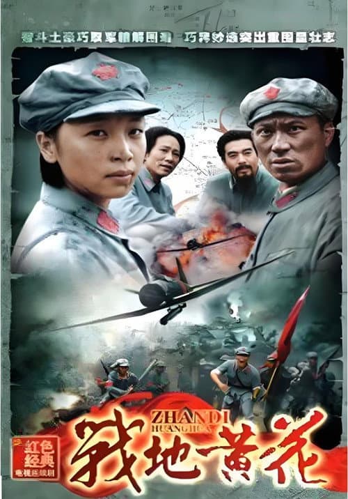 战地黄花