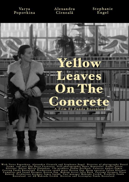 Yellow leaves on the concrete