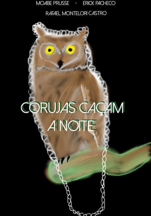 Corujas Caçam à Noite