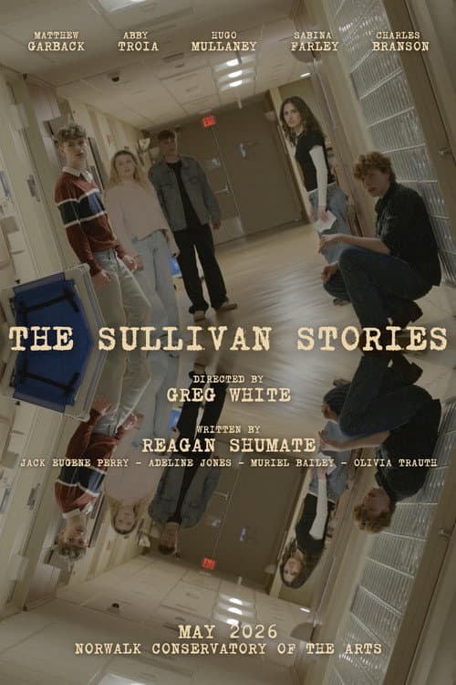 The Sullivan Stories