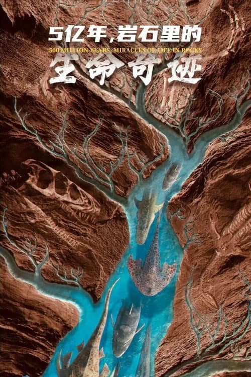 5亿年,岩石里的生命奇迹