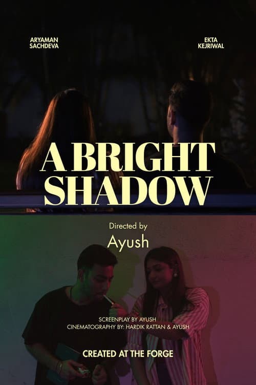 A Bright Shadow
