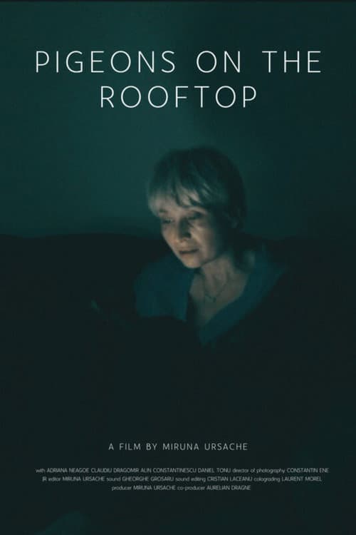 Pigeons on the Rooftop