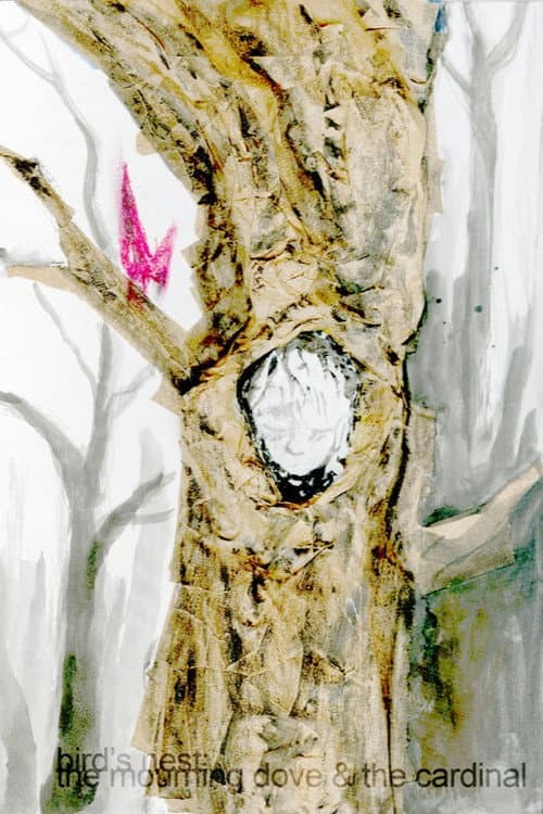 bird's nest (the mourning dove and the cardinal)