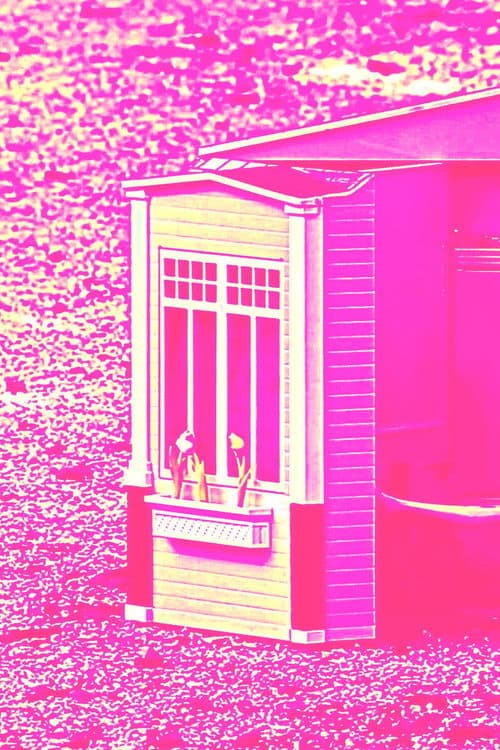 FLESH-FICTION
