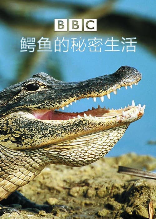 The Secret World Of Crocodiles With Ben Fogle