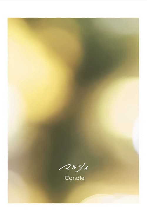 マルシィ one man live tour 2023  “melt into you”